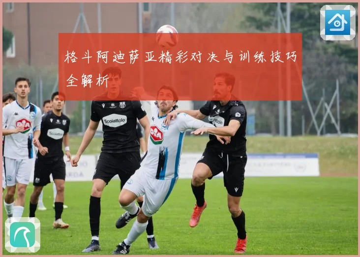 格斗阿迪萨亚精彩对决与训练技巧全解析
