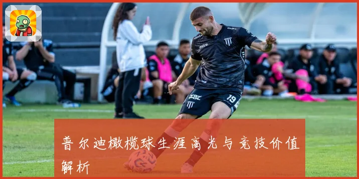 普尔迪橄榄球生涯高光与竞技价值解析