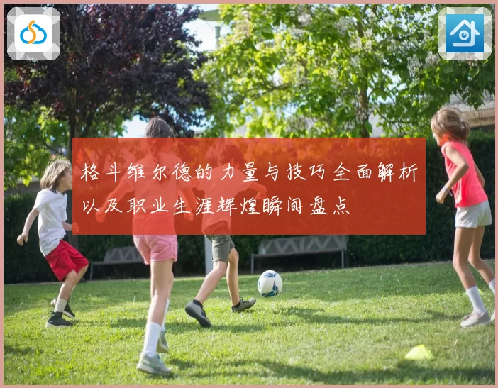 格斗维尔德的力量与技巧全面解析以及职业生涯辉煌瞬间盘点