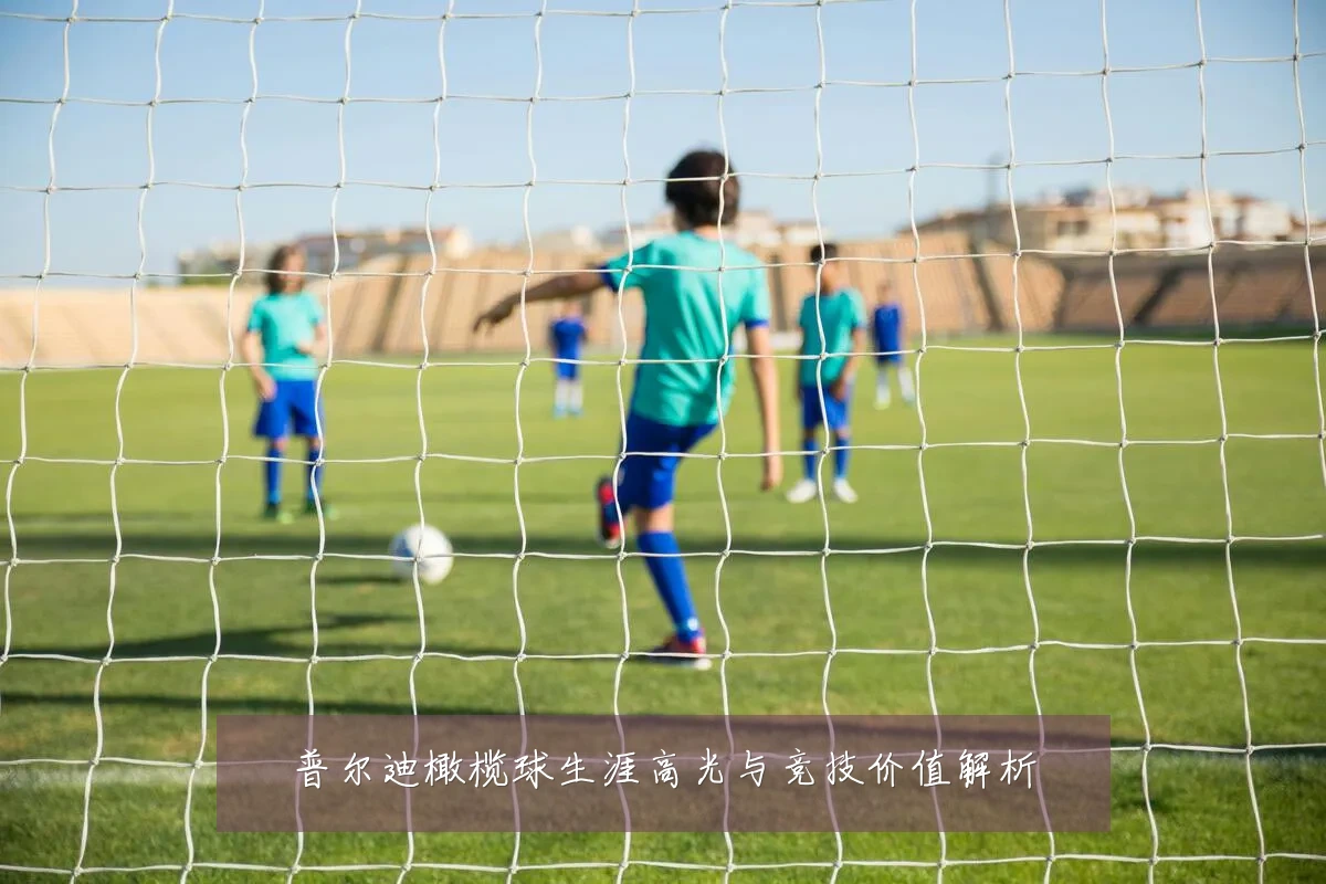 普尔迪橄榄球生涯高光与竞技价值解析