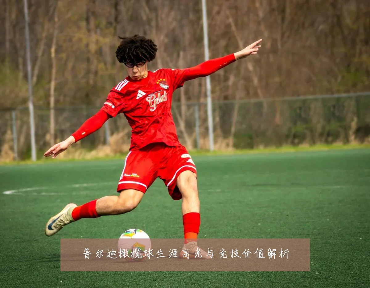 普尔迪橄榄球生涯高光与竞技价值解析