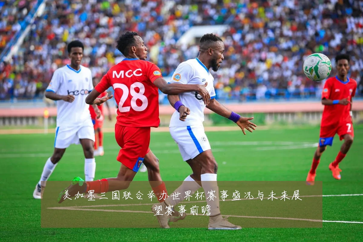 美加墨三国联合举办世界杯赛事盛况与未来展望赛事前瞻